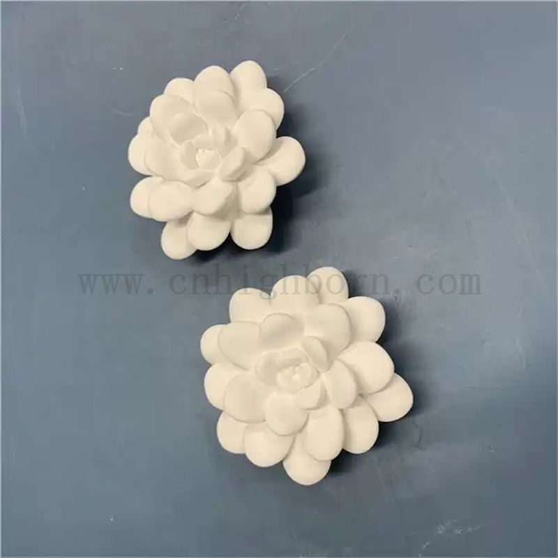 Olio gesso succulento personalizzato Olio di gesso Spazzati Essential Diffusore Parti