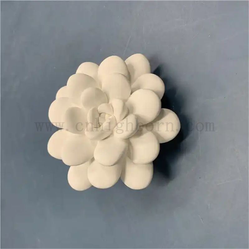 Olio gesso succulento personalizzato Olio di gesso Spazzati Essential Diffusore Parti