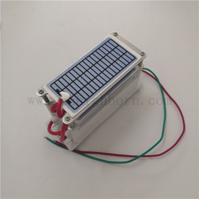 CE ROHS certificato 220 V 220 g/h foglio ceramico Modulo di ozono Modulo Air Purificier Ozonator Kit