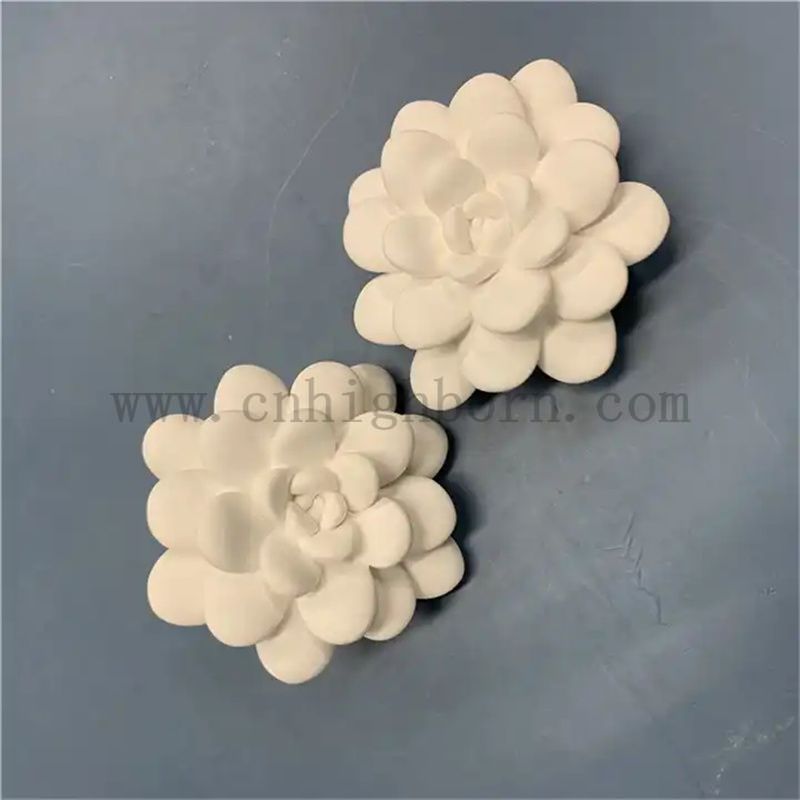 aroma scented Aroma profumato succulento