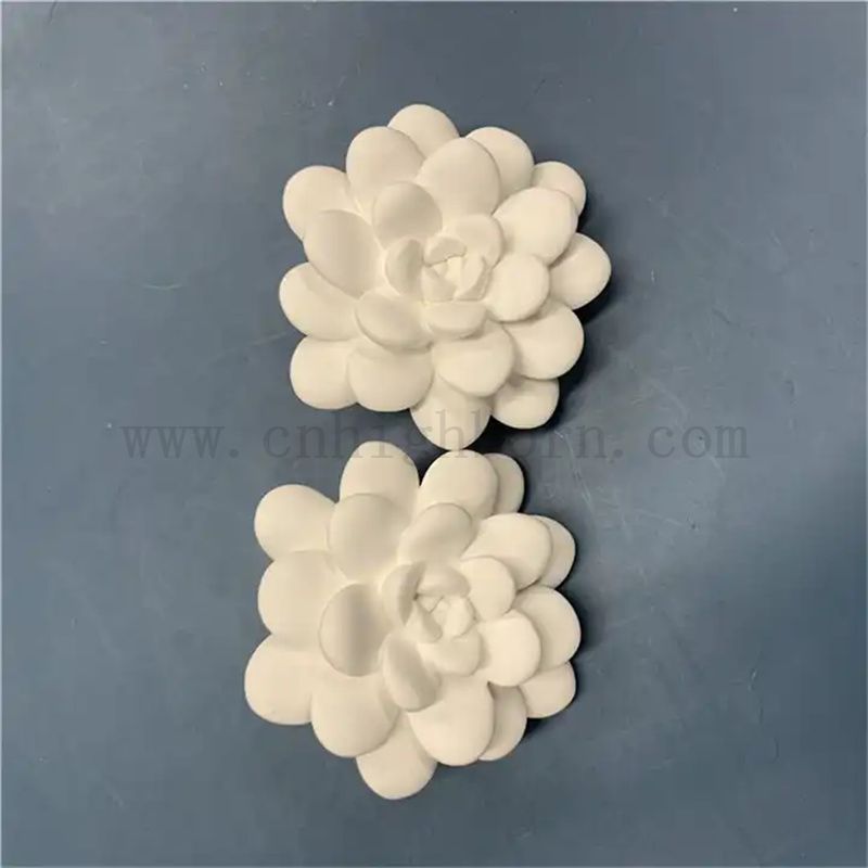 Olio gesso succulento personalizzato Olio di gesso Spazzati Essential Diffusore Parti
