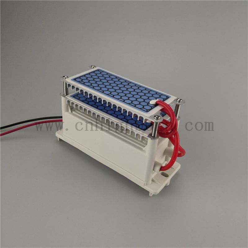 Fast heat dissipation ceramic sheet ozone generator module 220V 10g/H ozonizer ozonizzatore