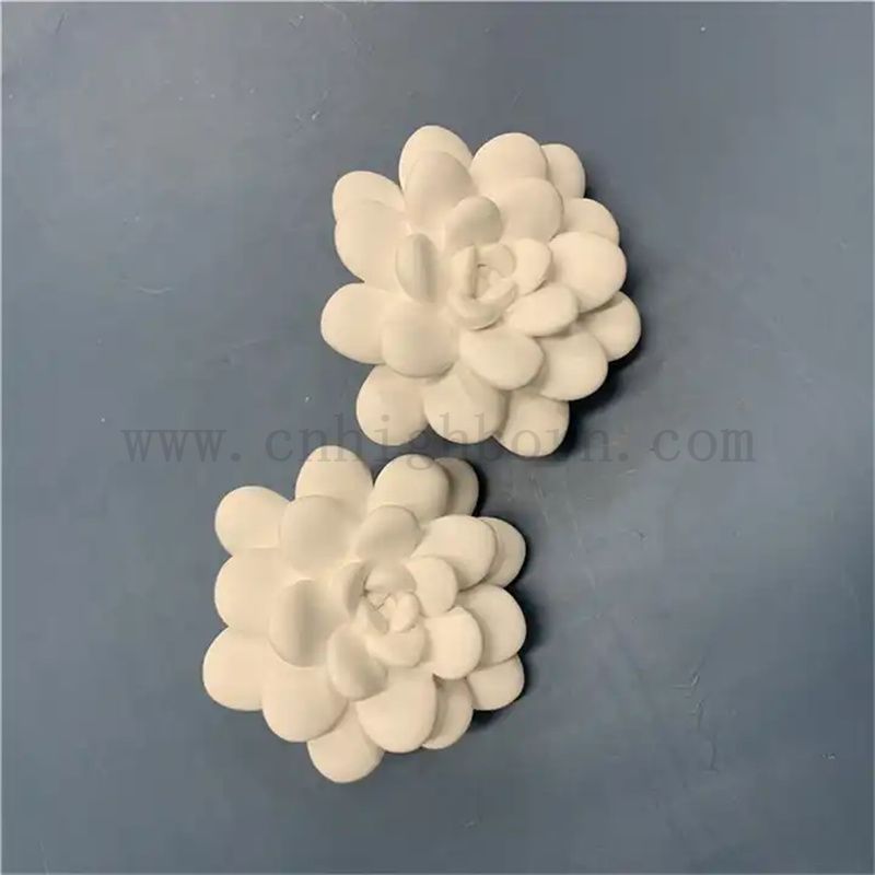 Olio gesso succulento personalizzato Olio di gesso Spazzati Essential Diffusore Parti