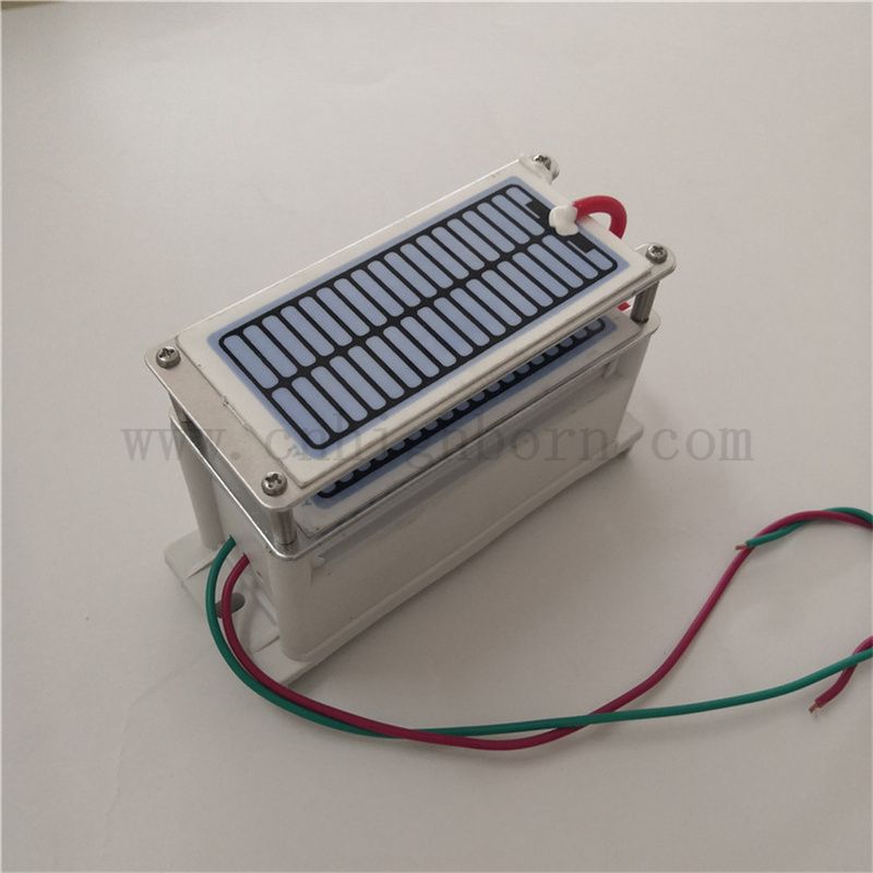 220 V 24 g/h foglio in ceramica Modulo generatore O3 per la macchina per ozono per purificatore d'aria