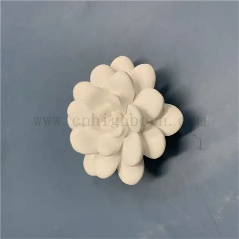 Olio gesso succulento personalizzato Olio di gesso Spazzati Essential Diffusore Parti