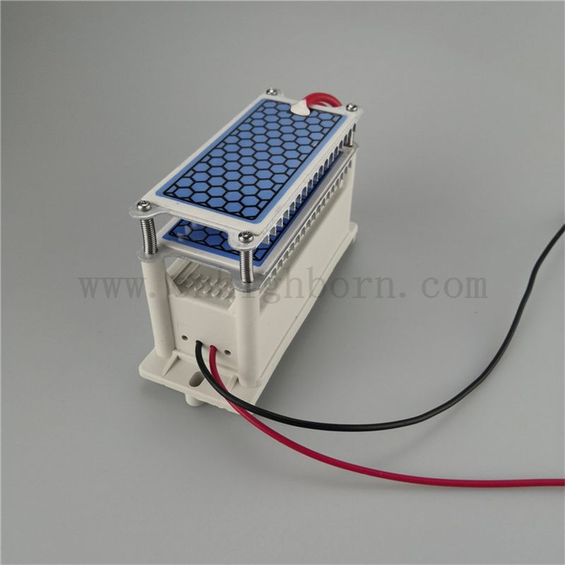 Feed Dissipation Ceramic Sheet Sheet Ozone Modulo 220V 10G/H Ozonizer