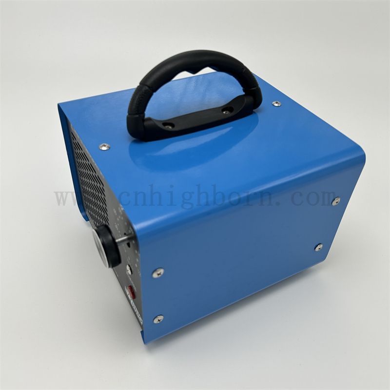 220 V 10 000 mg/h Dispositivo ozono con timer Blue Ozono Generator Machine O3 Air Purifier per casa