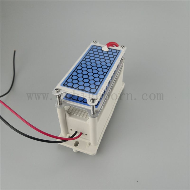 Feed Dissipation Ceramic Sheet Sheet Ozone Modulo 220V 10G/H Ozonizer