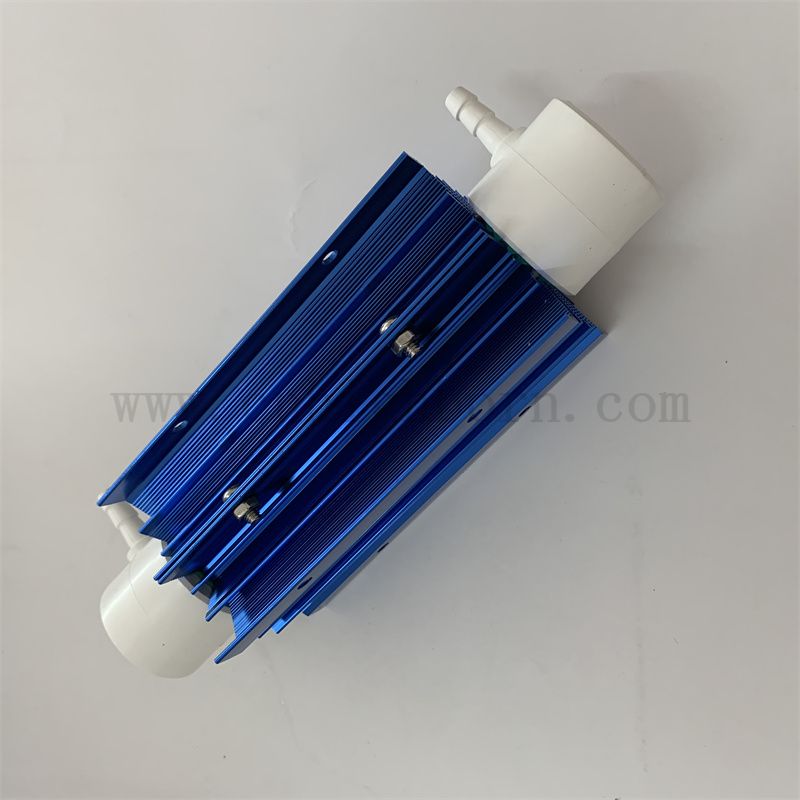 Water Treatment Ozone Generator Generatore di ozono regolabile