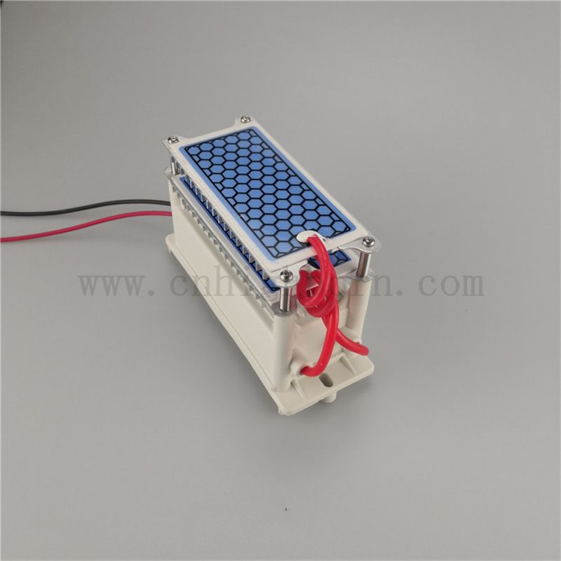 Feed Dissipation Ceramic Sheet Sheet Ozone Modulo 220V 10G/H Ozonizer
