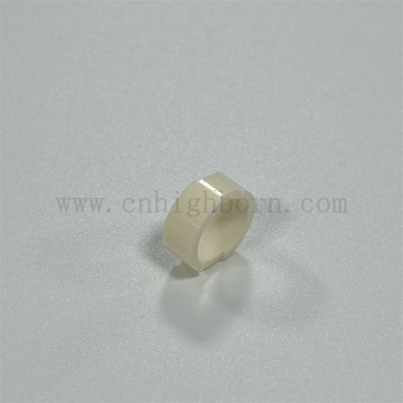Anello di guarnitore di wafer di allumina da 20 mm personalizzato elettrico