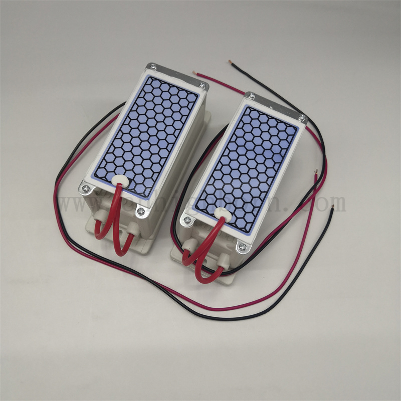 220 V 5g/h Purificazione dell'aria Piastra portatile Modulo del generatore di ozono