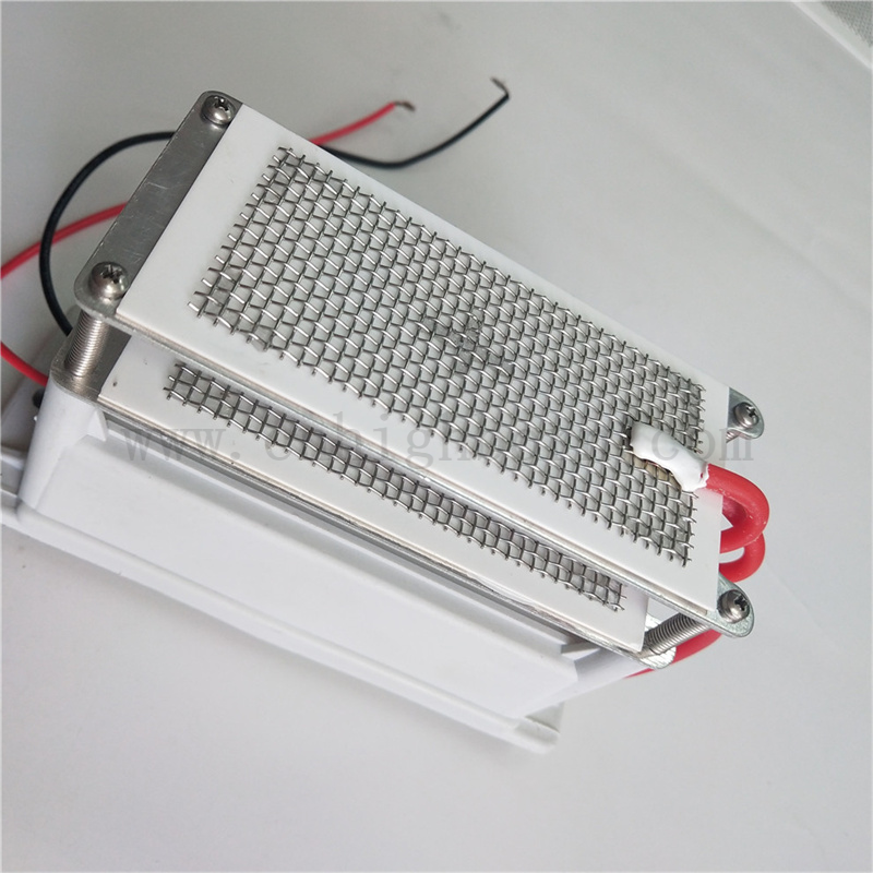 220 V 10 g/h Modulo Ozonizer Generatore di ozono in ceramica in mesh metallico