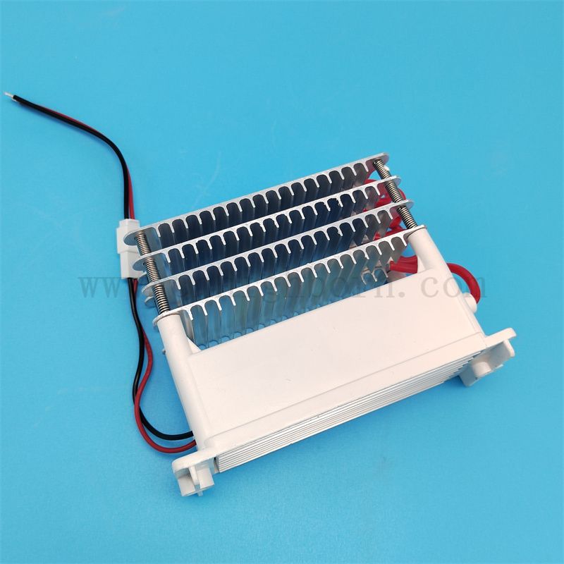 Parti di ricambio della macchina per ozono 220V 40 g/h 60 g/h Piccolo del generatore di ozonatore di piastra per ozonatore