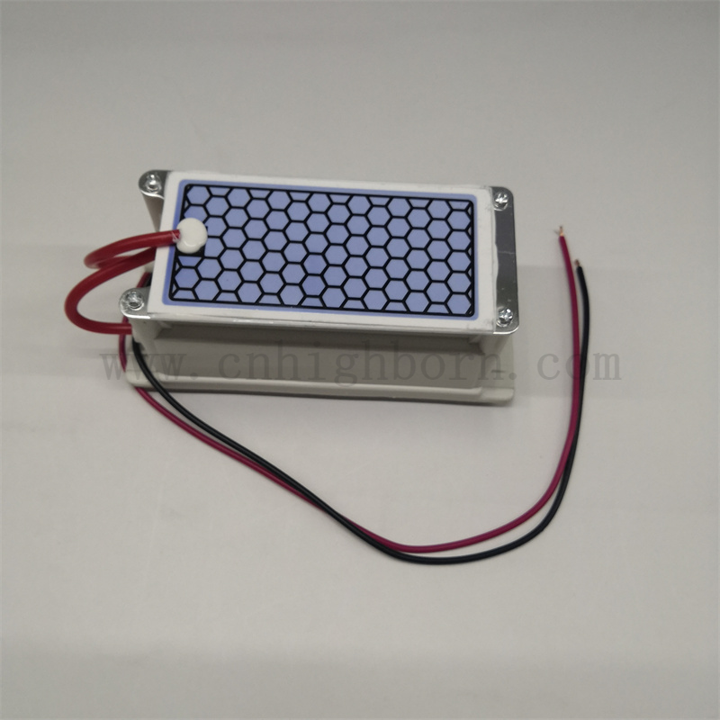 220 V 5g/h Purificazione dell'aria Piastra portatile Modulo del generatore di ozono