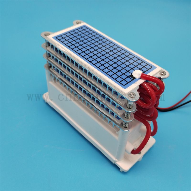 Parti di ricambio della macchina per ozono 220V 40 g/h 60 g/h Piccolo del generatore di ozonatore di piastra per ozonatore