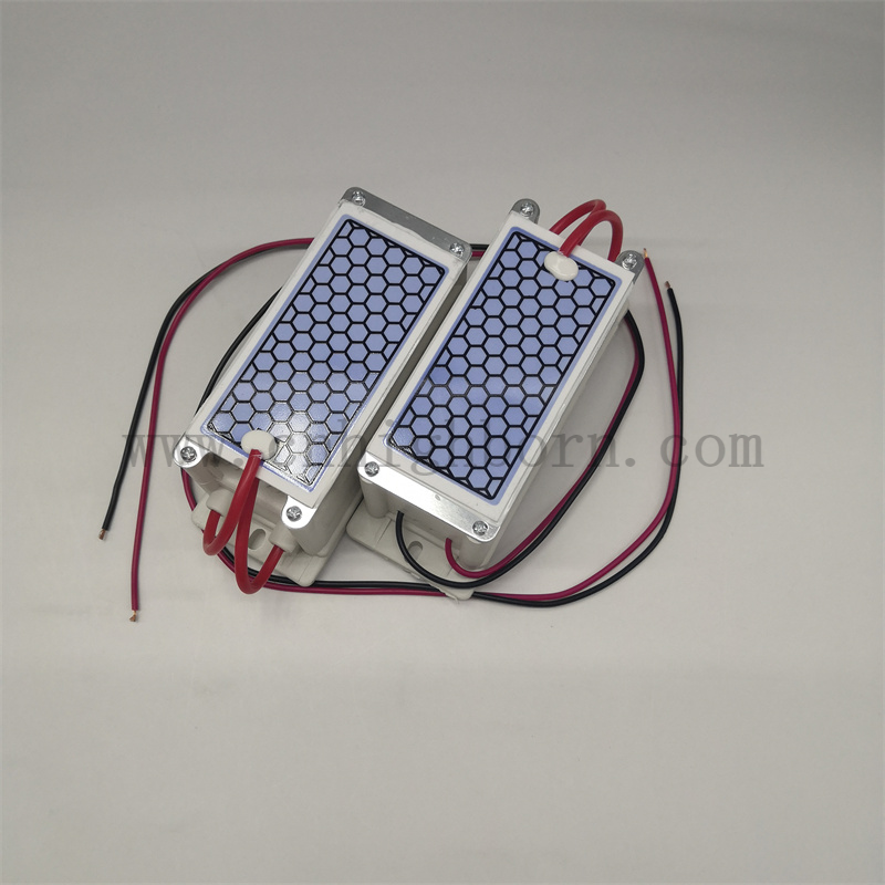 Portable ceramic ozone plate Air purification 220V 10g/hr ozone generator module Modulo generatore di ozono