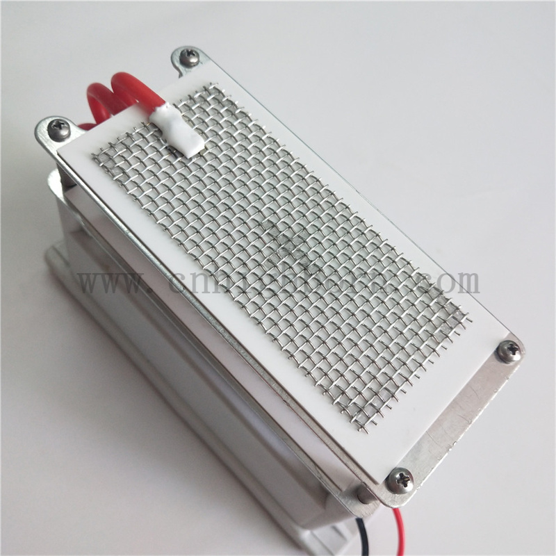 220V 10g/H Metal Mesh Ceramic Plate Ozone Generator Ozonizer Module Modulo generatore di ozono