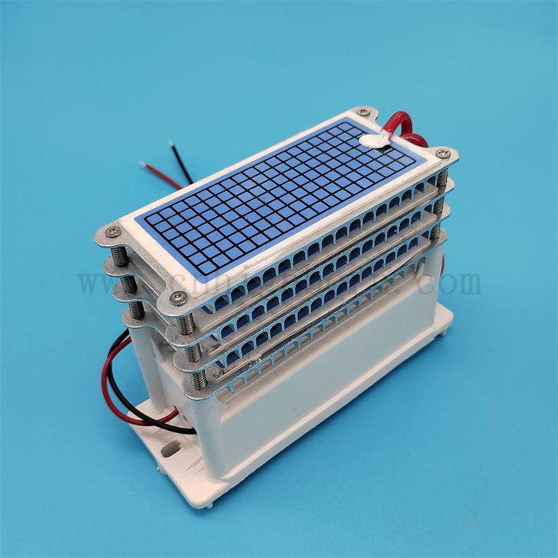 Parti di ricambio della macchina per ozono 220V 40 g/h 60 g/h Piccolo del generatore di ozonatore di piastra per ozonatore