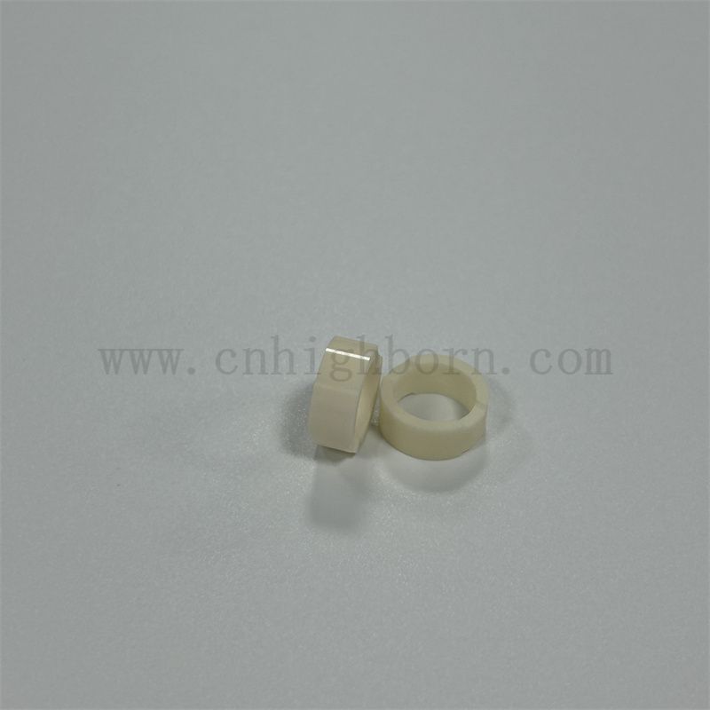 Anello di guarnitore di wafer di allumina da 20 mm personalizzato elettrico