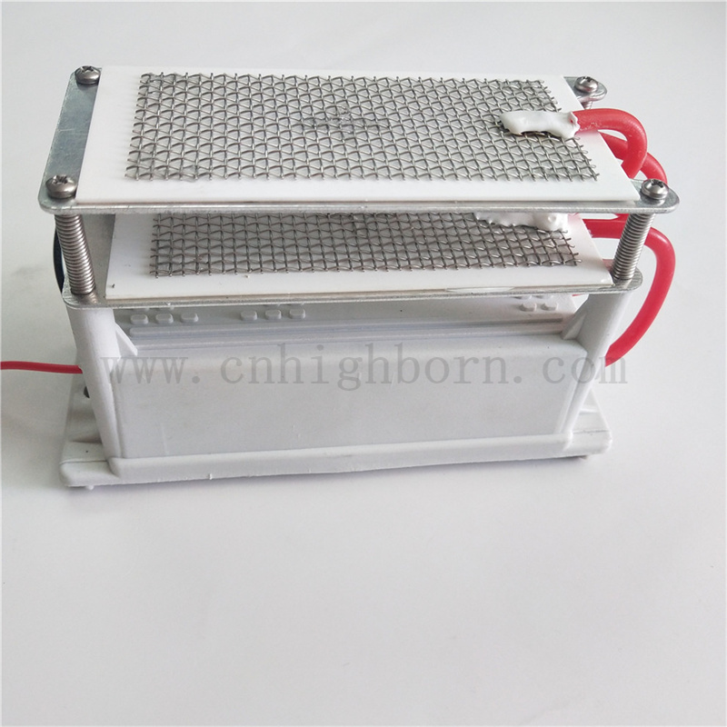 220 V 10 g/h Modulo Ozonizer Generatore di ozono in ceramica in mesh metallico