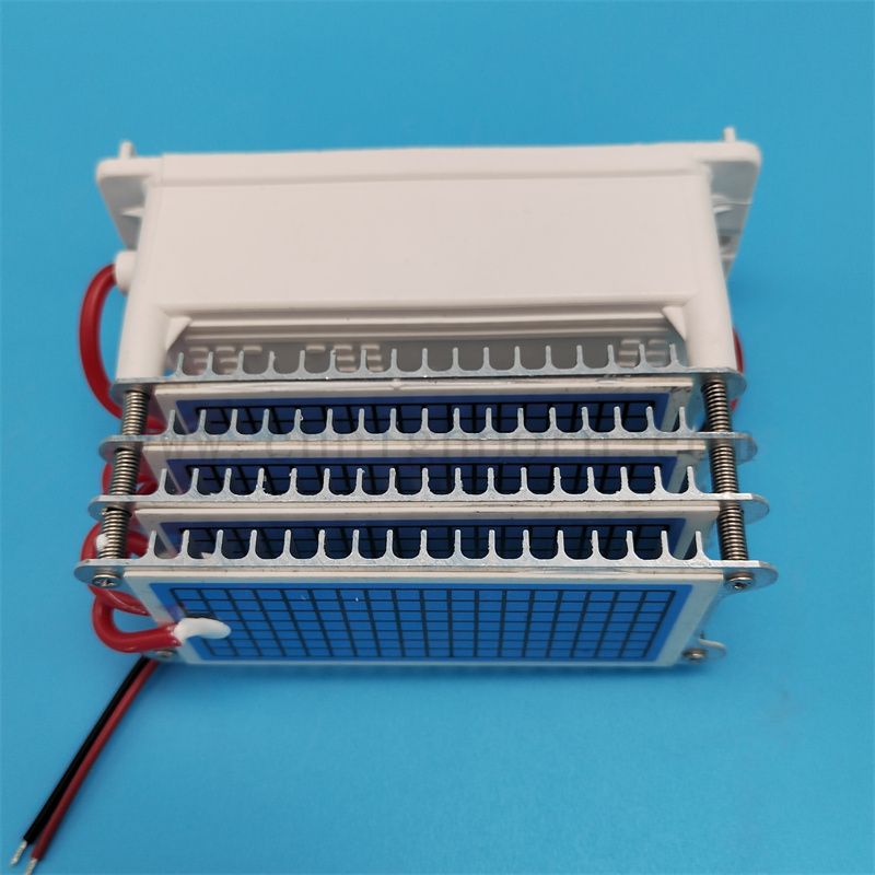 Parti di ricambio della macchina per ozono 220V 40 g/h 60 g/h Piccolo del generatore di ozonatore di piastra per ozonatore