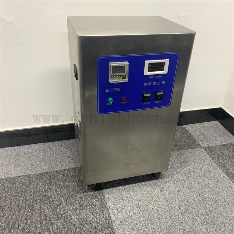 Macchina di disinfezione del generatore di ozono da 10 g/ora del generatore di ozono personalizzato
