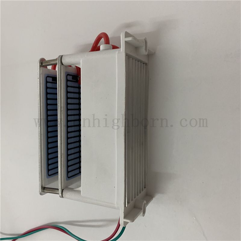 ceramic ozone module  Modulo di ozono in ceramica
