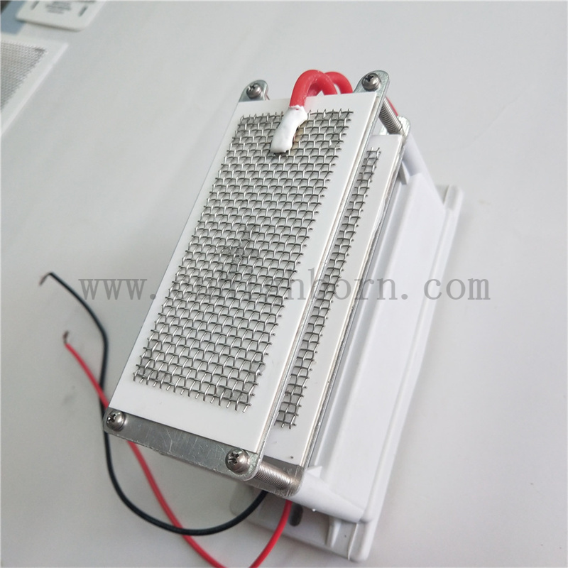 220V 10g/H Metal Mesh Ceramic Plate Ozone Generator Ozonizer Module Modulo generatore di ozono