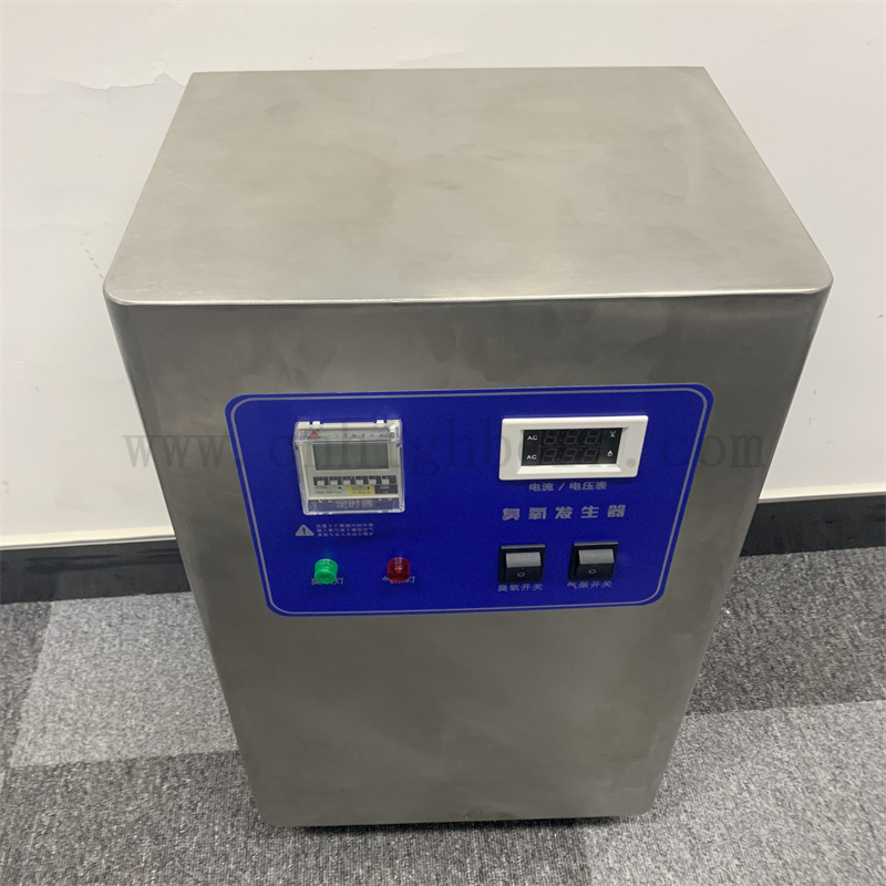 Macchina di disinfezione del generatore di ozono da 10 g/ora del generatore di ozono personalizzato
