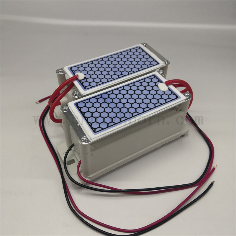 220 V 5g/h Purificazione dell'aria Piastra portatile Modulo del generatore di ozono