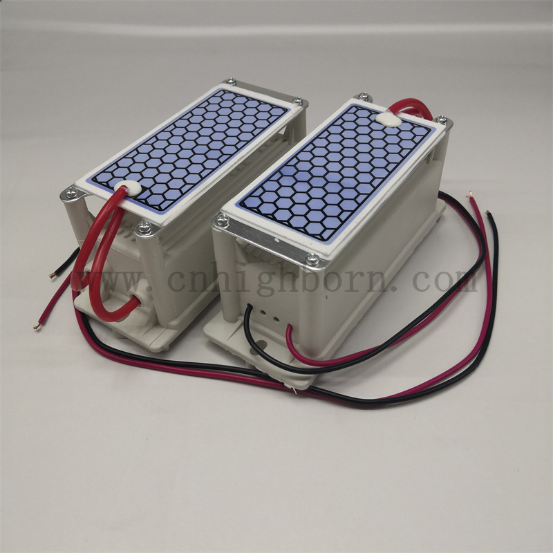 Portable ceramic ozone plate Air purification 220V 10g/hr ozone generator module Modulo generatore di ozono
