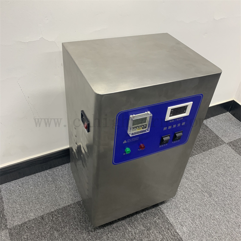 Macchina di disinfezione del generatore di ozono da 10 g/ora del generatore di ozono personalizzato