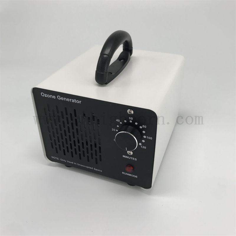 STERILIZZATORE OZONE PORTATIVO 110 V 10G 20G 28G PURIFICAZIONE AIRIFICAZIONE GENERATORE DI DISINFEZIONE OZONIZZATORE