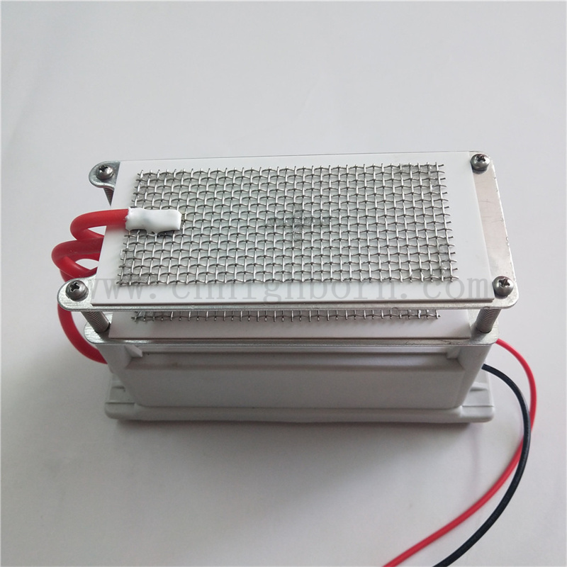 220 V 10 g/h Modulo Ozonizer Generatore di ozono in ceramica in mesh metallico