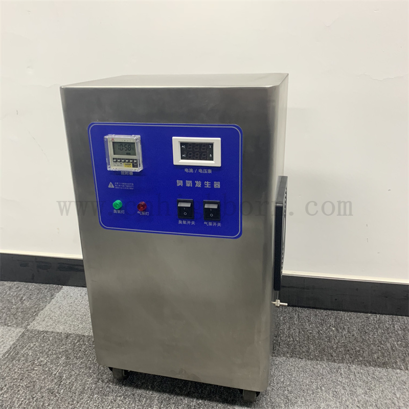 Macchina di disinfezione del generatore di ozono da 10 g/ora del generatore di ozono personalizzato