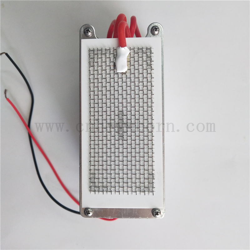 220 V 10 g/h Modulo Ozonizer Generatore di ozono in ceramica in mesh metallico