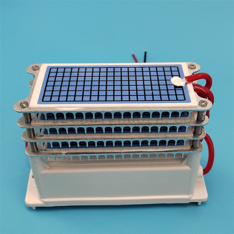 Parti di ricambio della macchina per ozono 220V 40 g/h 60 g/h Piccolo del generatore di ozonatore di piastra per ozonatore
