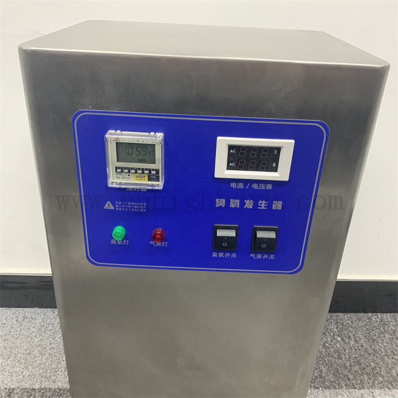 Macchina di disinfezione del generatore di ozono da 10 g/ora del generatore di ozono personalizzato