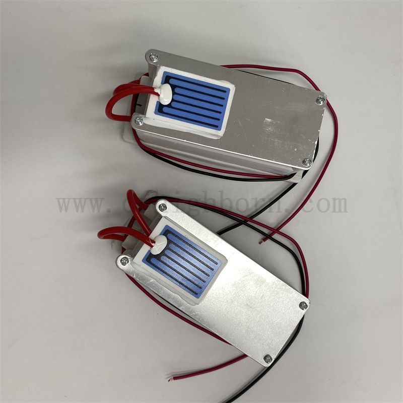 220 V 1 g/h foglio ceramico Modulo di ozono Purificatore d'aria O3 Ozonator Kit