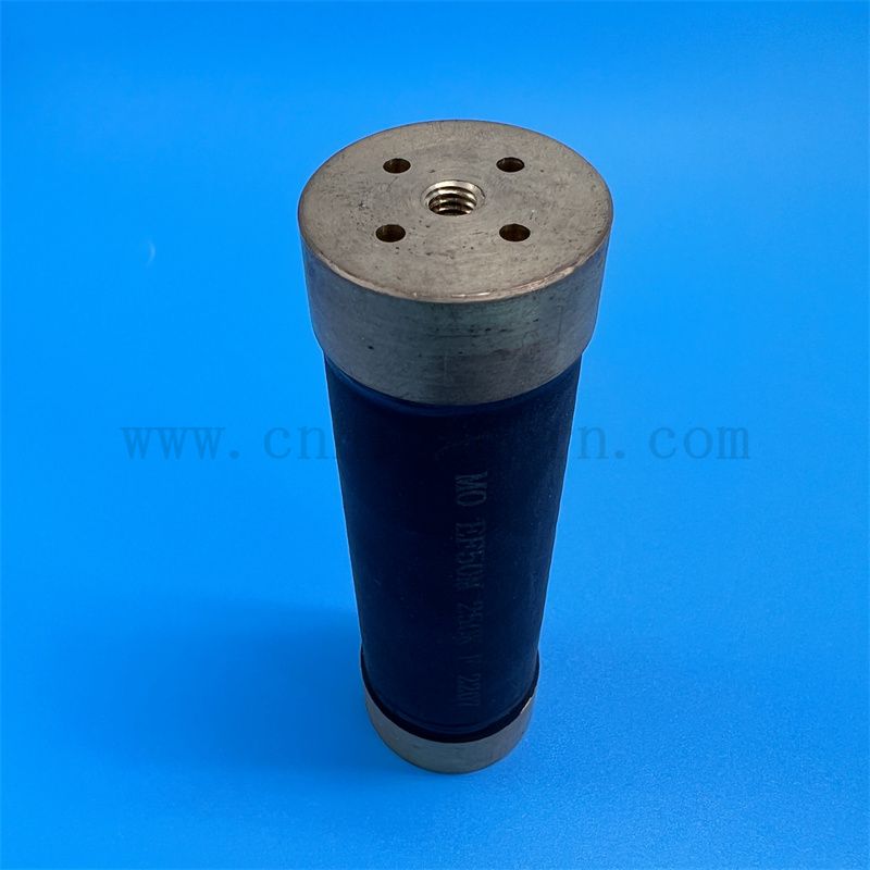 Caratteristiche di serie HF eccellenti anti-forusa Resisitore cilindro FIM ad alta potenza