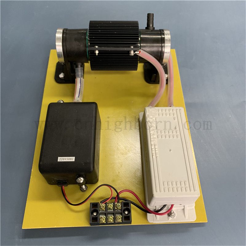 110 V 10 g/h Generatore di disinfezione dell'ozono O3 Stirilizzazione per il trattamento dell'acqua