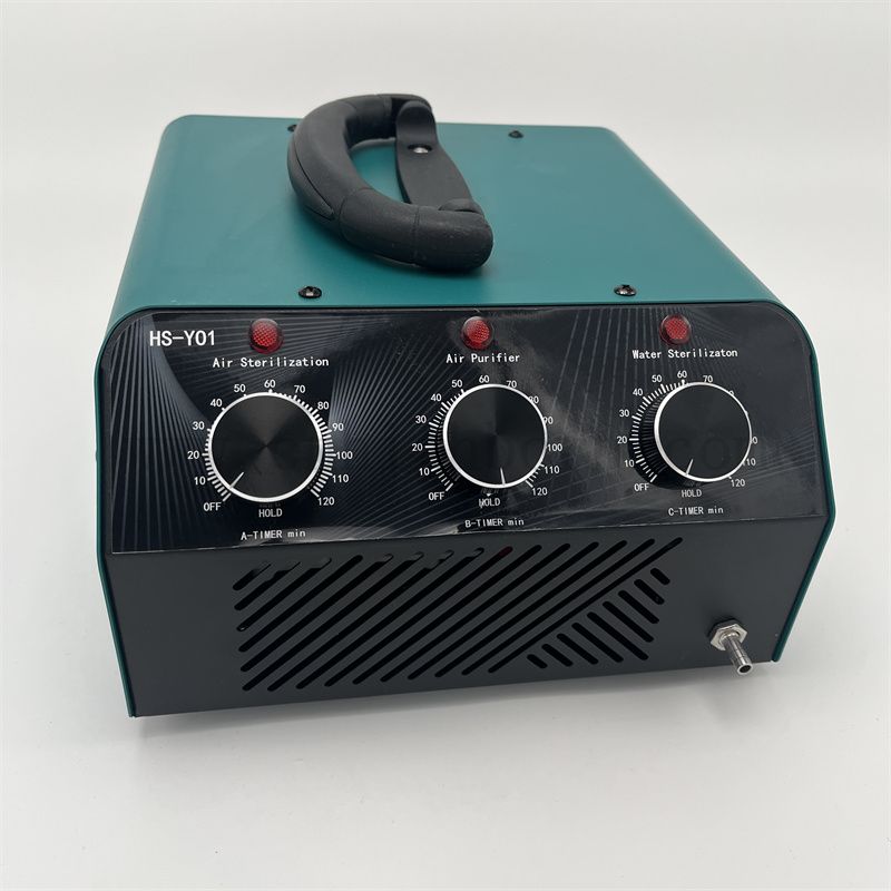 Nuovo stile portatile 15-30 g/h CE Macchina del generatore di ozono per purificatore d'aria a 220 V per camere e uffici