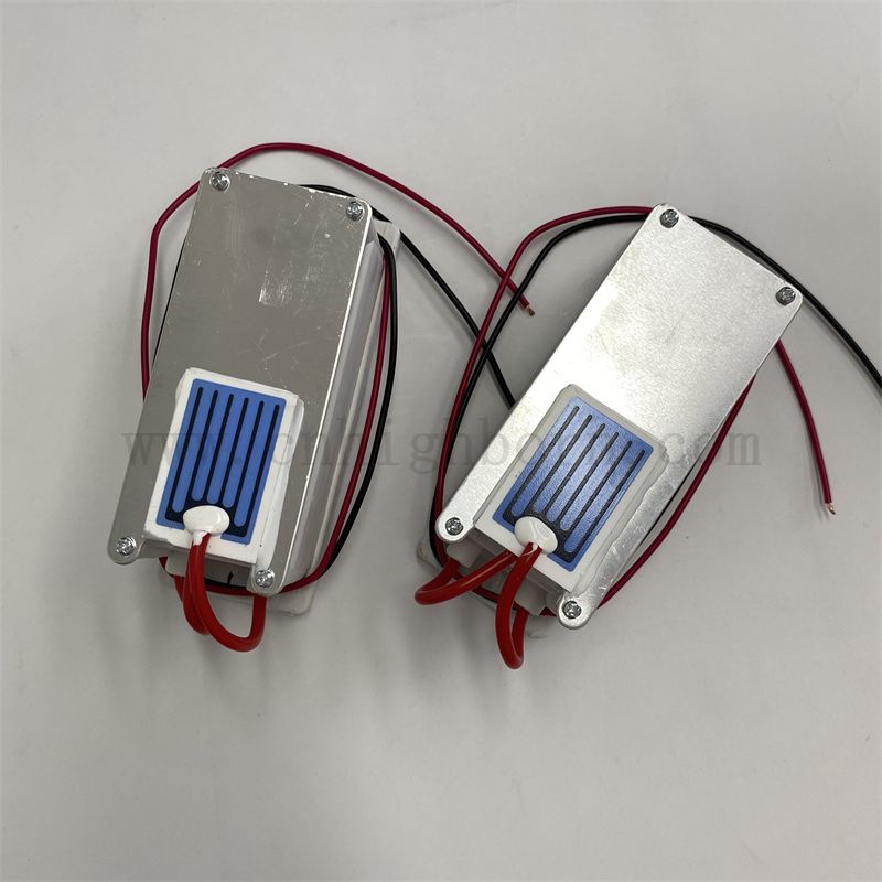 220 V 1 g/h foglio ceramico Modulo di ozono Purificatore d'aria O3 Ozonator Kit
