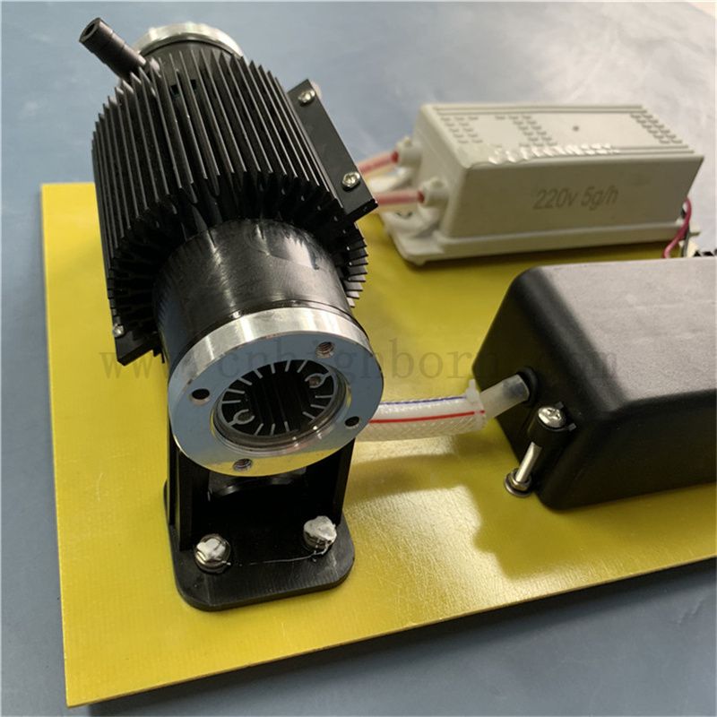 110 V 10 g/h Generatore di disinfezione dell'ozono O3 Stirilizzazione per il trattamento dell'acqua