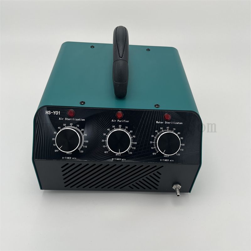 Nuovo stile portatile 15-30 g/h CE Macchina del generatore di ozono per purificatore d'aria a 220 V per camere e uffici
