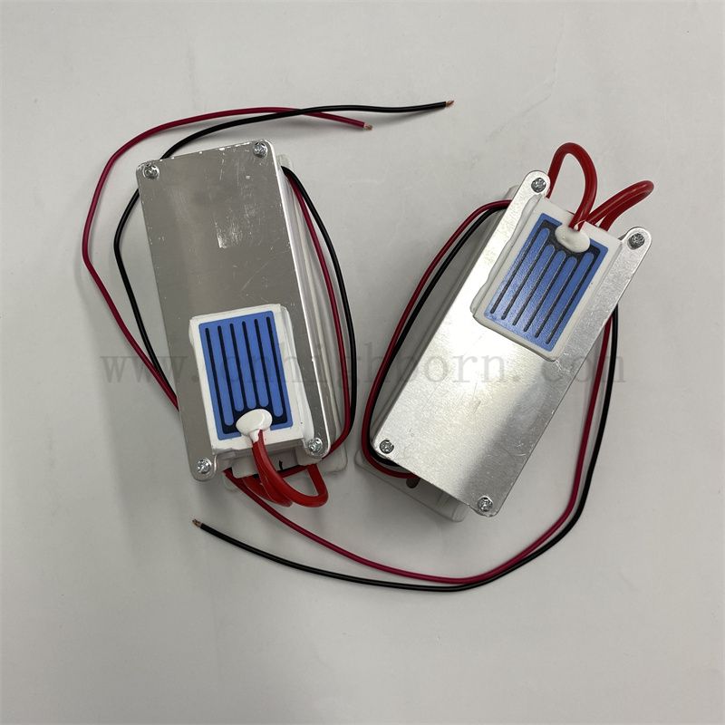 220 V 1 g/h foglio ceramico Modulo di ozono Purificatore d'aria O3 Ozonator Kit