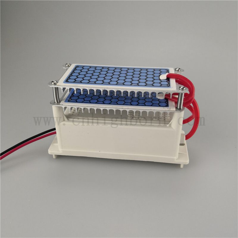 Feed Dissipation Ceramic Sheet Sheet Ozone Modulo 220V 10G/H Ozonizer