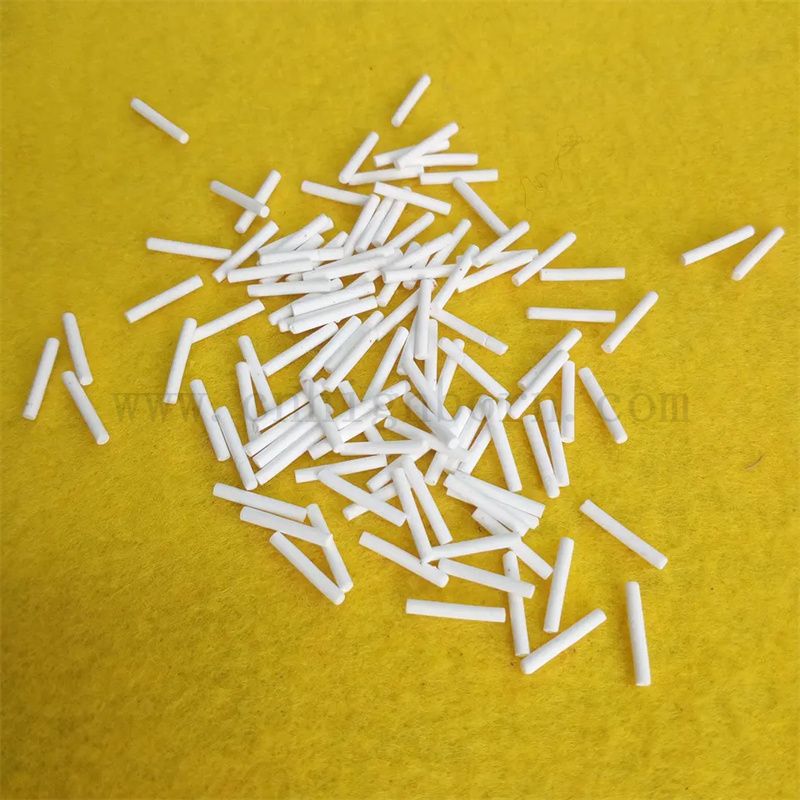 Elettrodo di riferimento poroso personalizzato Elettrodo W