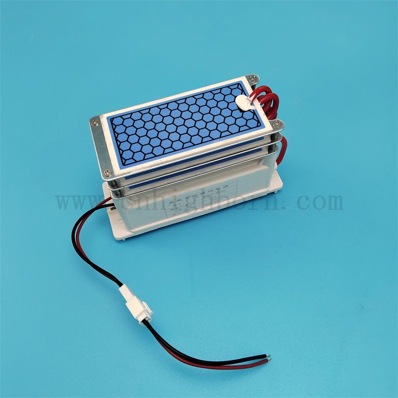 Foglio in ceramica Modulo generatore di ozono da 15 g/h per altero dell'aria